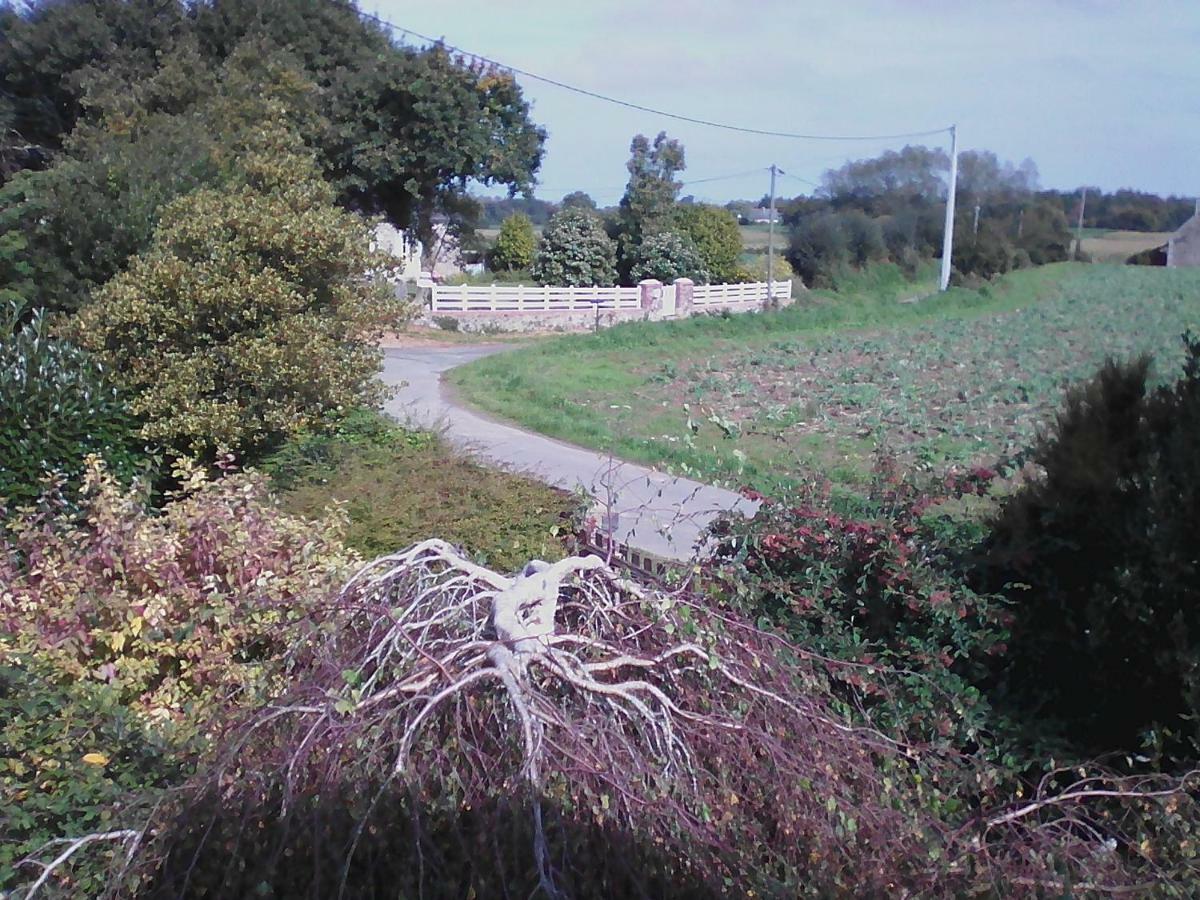 Gite Lezardrieux Kerbors Exterior foto